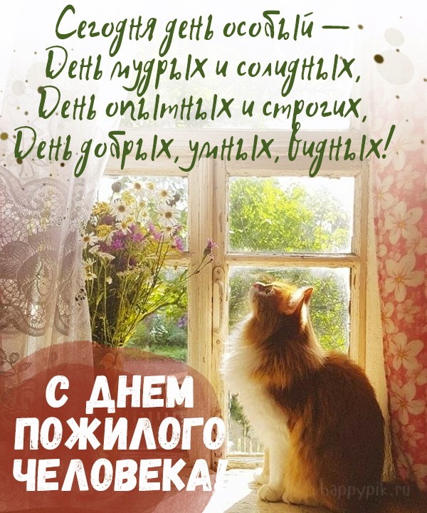 Хостинг картинок yapx.ru