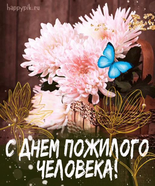 Хостинг картинок yapx.ru