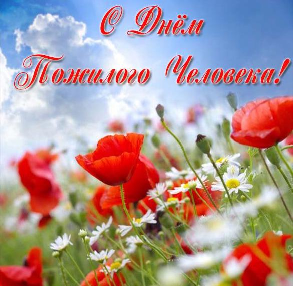 Хостинг картинок yapx.ru