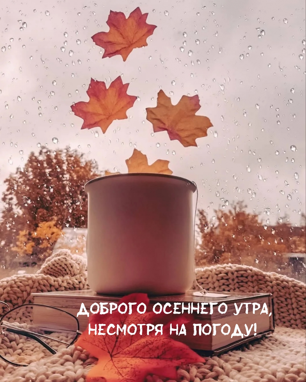 Хостинг картинок yapx.ru