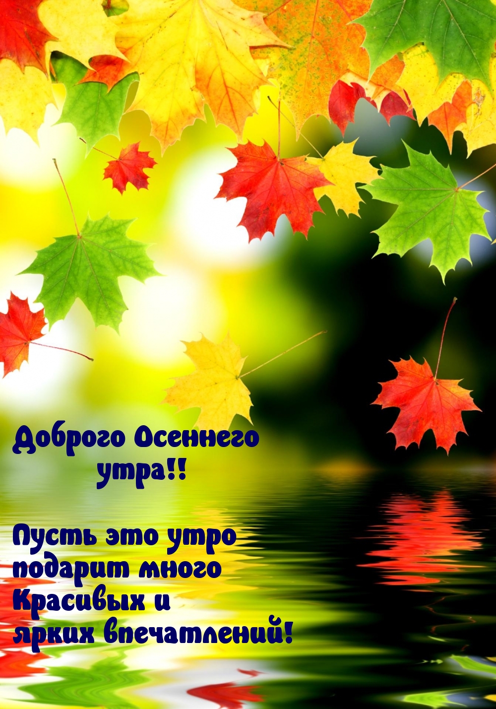 Хостинг картинок yapx.ru