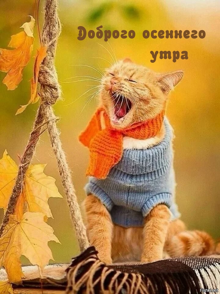 Хостинг картинок yapx.ru