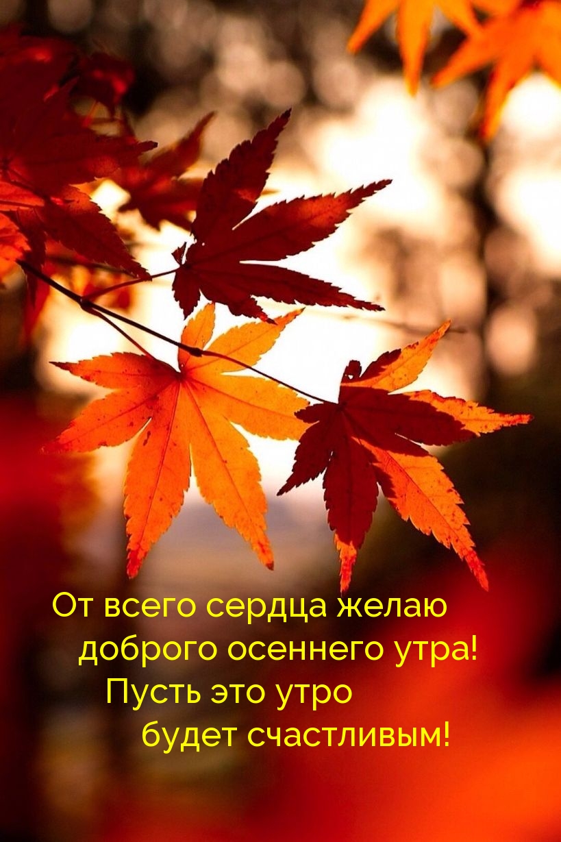 Хостинг картинок yapx.ru