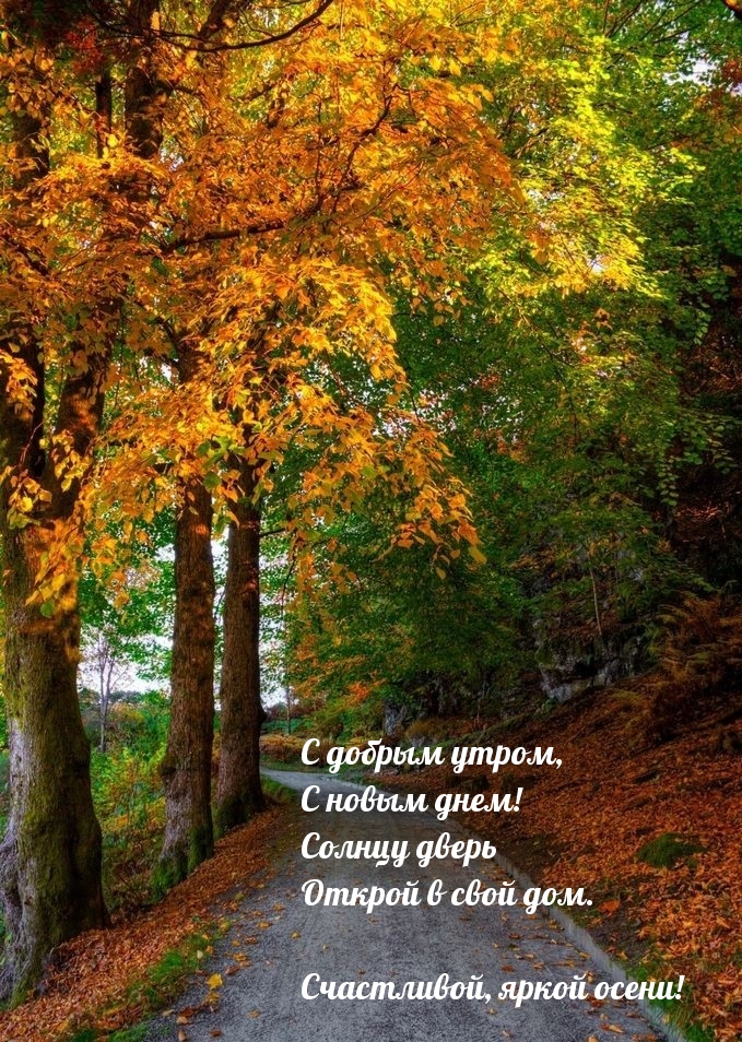 Хостинг картинок yapx.ru