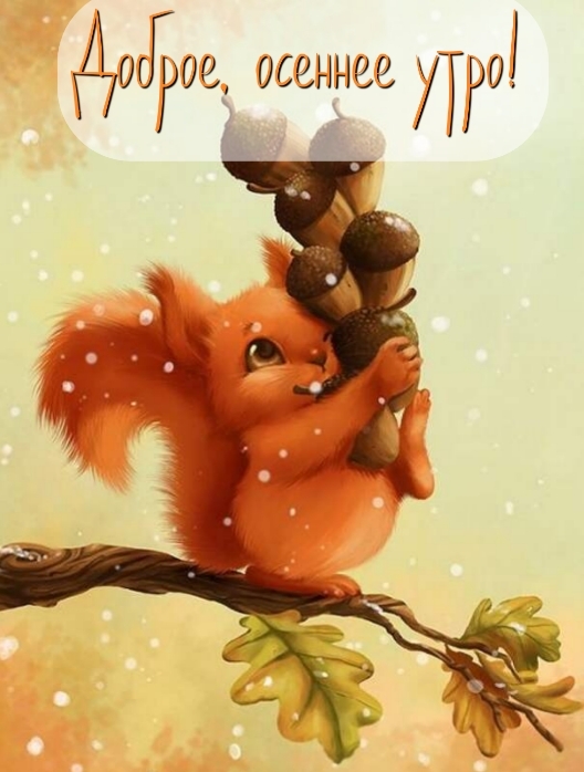 Хостинг картинок yapx.ru