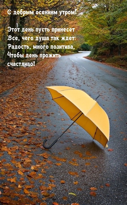 Хостинг картинок yapx.ru