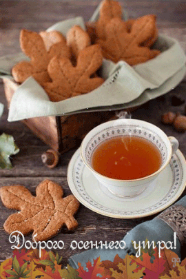 Хостинг картинок yapx.ru