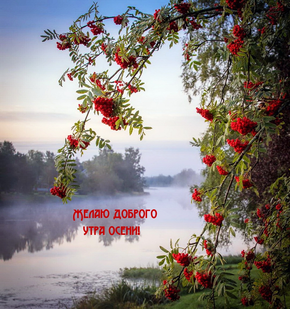 Хостинг картинок yapx.ru