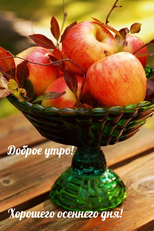 Хостинг картинок yapx.ru