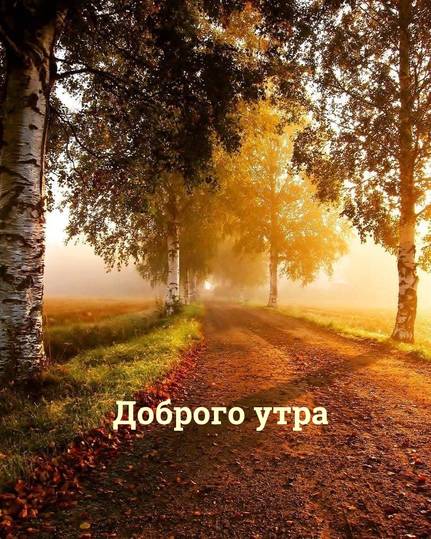 Хостинг картинок yapx.ru