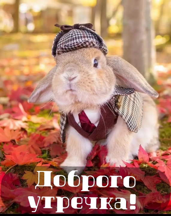 Хостинг картинок yapx.ru