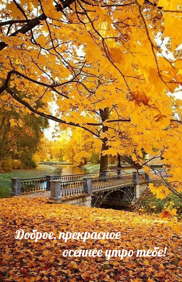 Хостинг картинок yapx.ru