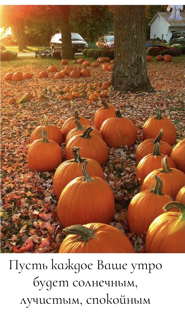 Хостинг картинок yapx.ru