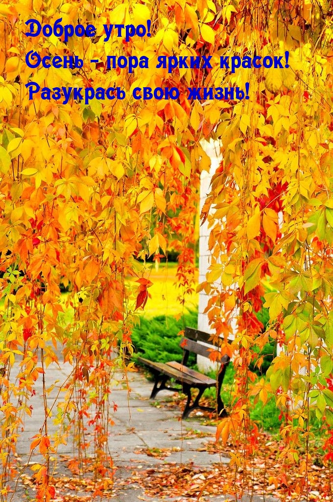 Хостинг картинок yapx.ru