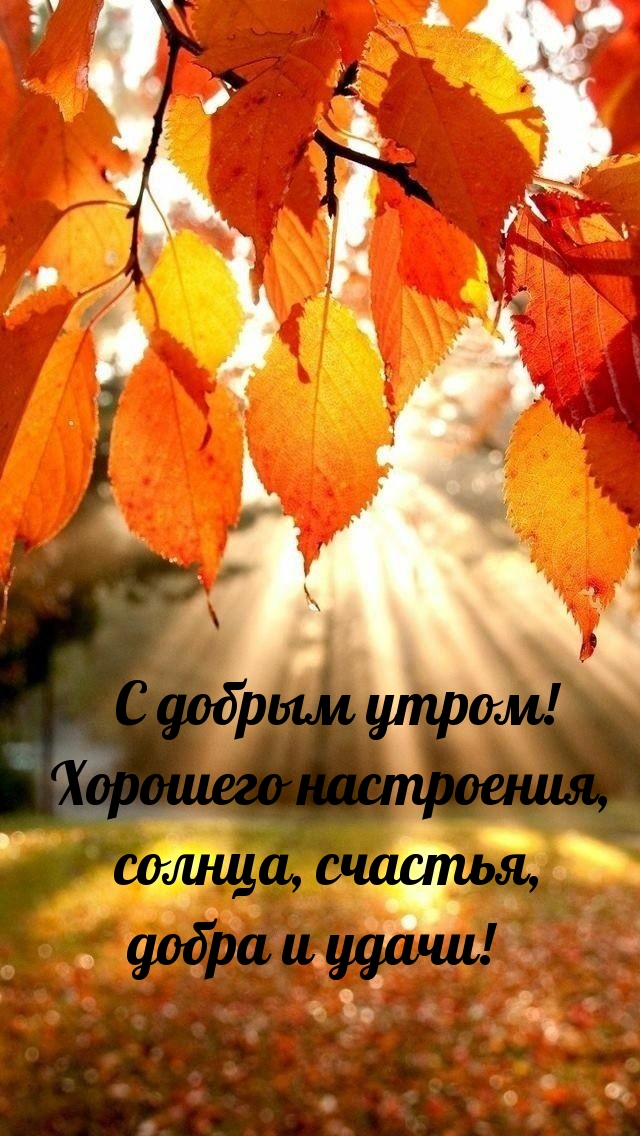 Хостинг картинок yapx.ru