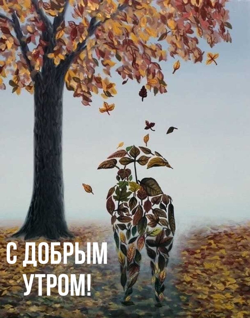 Хостинг картинок yapx.ru