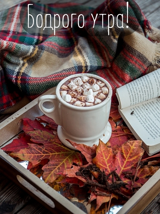 Хостинг картинок yapx.ru