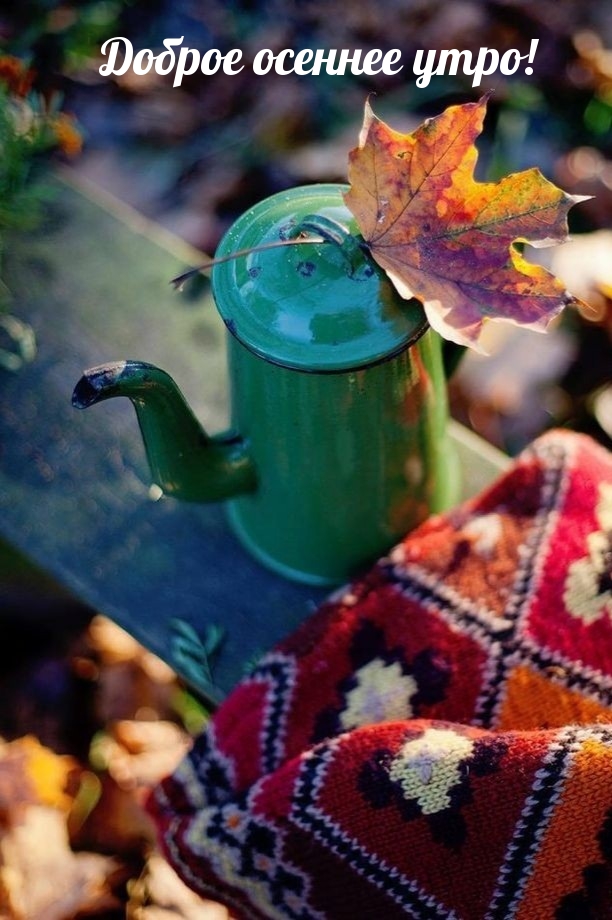 Хостинг картинок yapx.ru