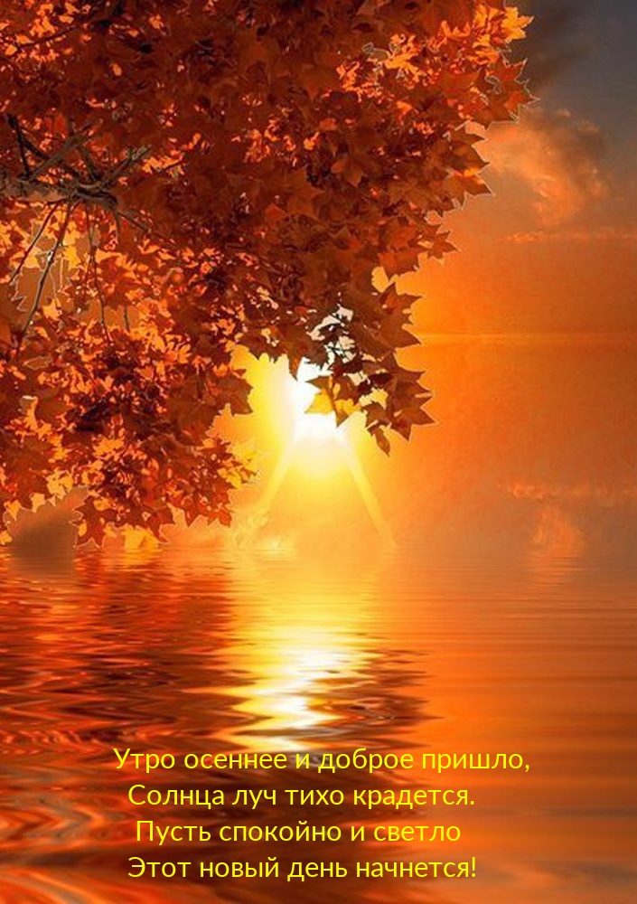 Хостинг картинок yapx.ru