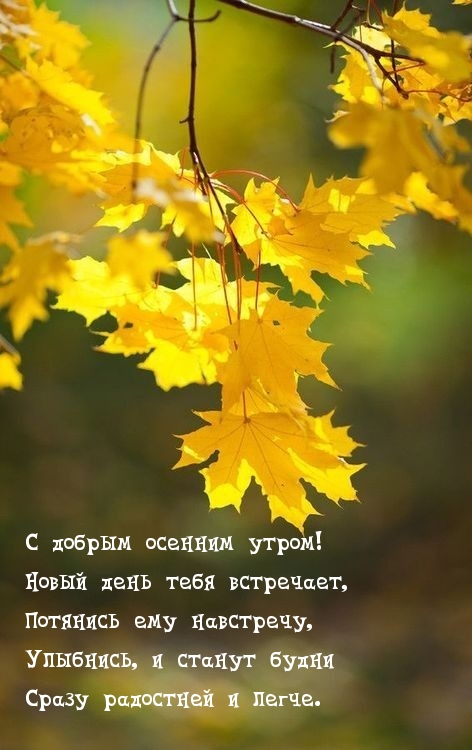 Хостинг картинок yapx.ru