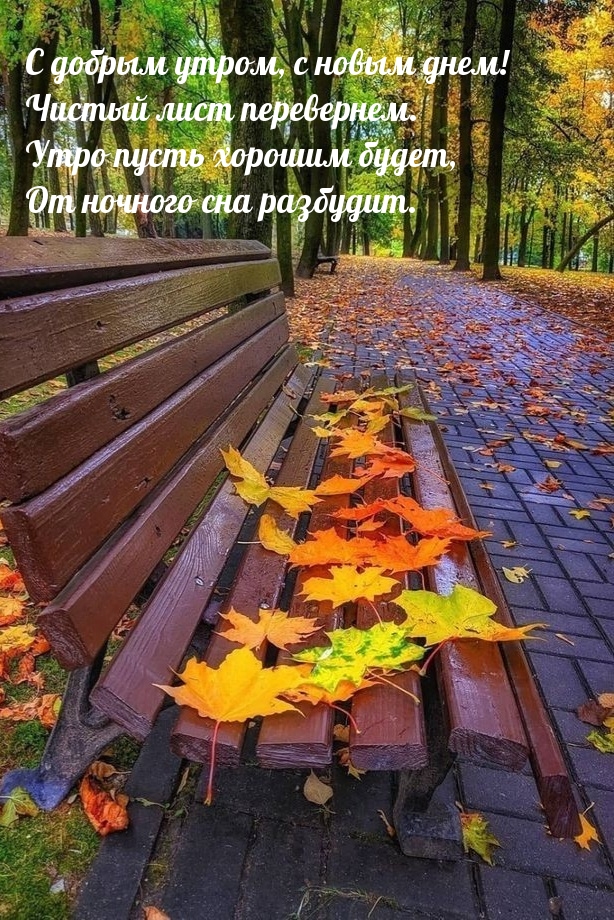 Хостинг картинок yapx.ru