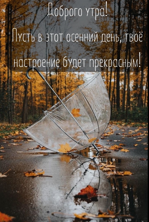 Хостинг картинок yapx.ru