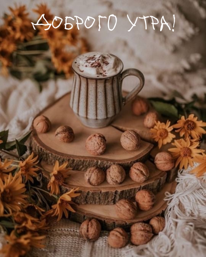 Хостинг картинок yapx.ru