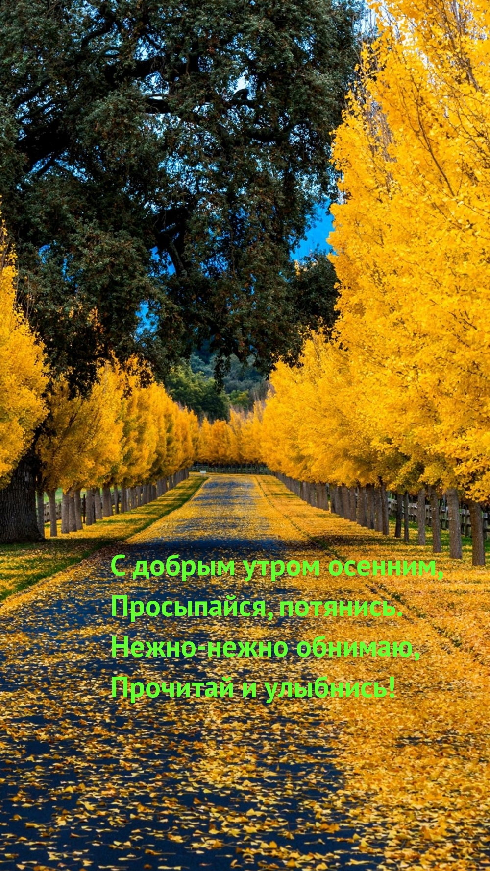 Хостинг картинок yapx.ru