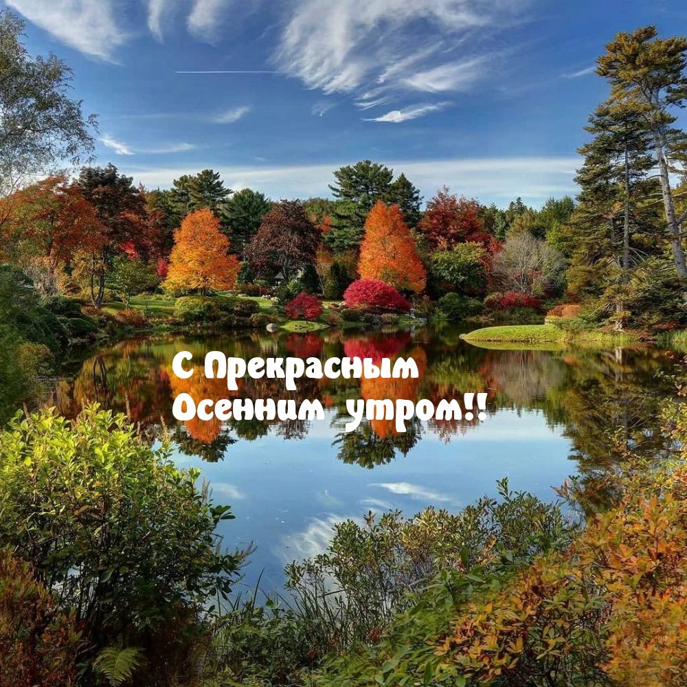 Хостинг картинок yapx.ru