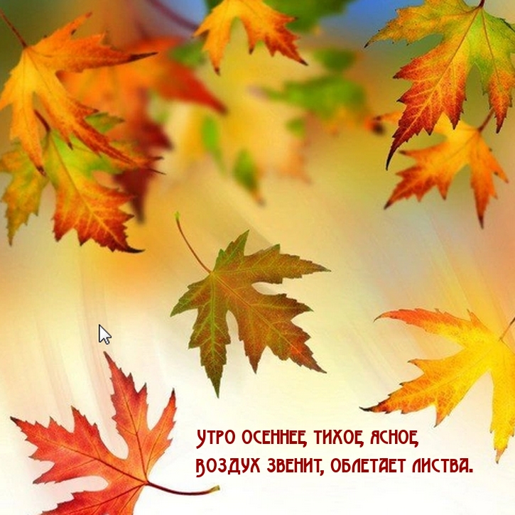 Хостинг картинок yapx.ru