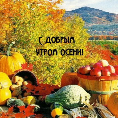 Хостинг картинок yapx.ru