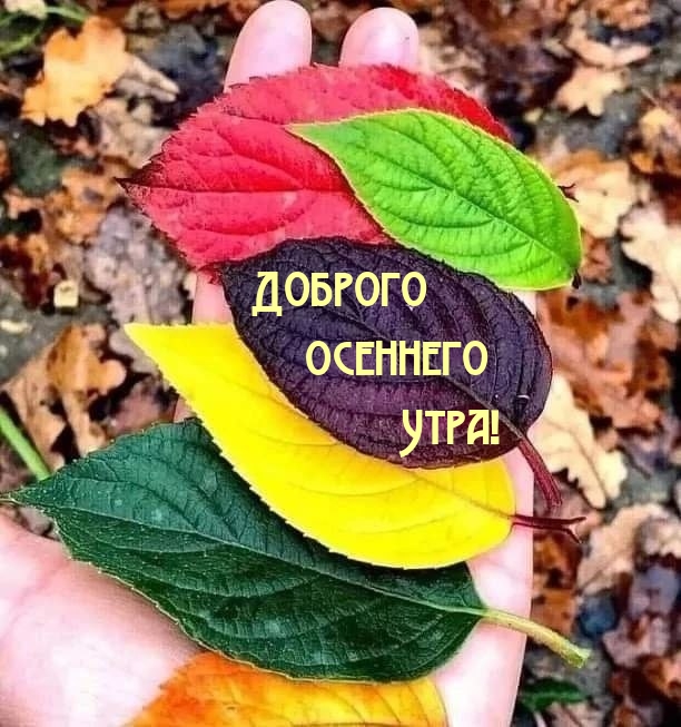 Хостинг картинок yapx.ru