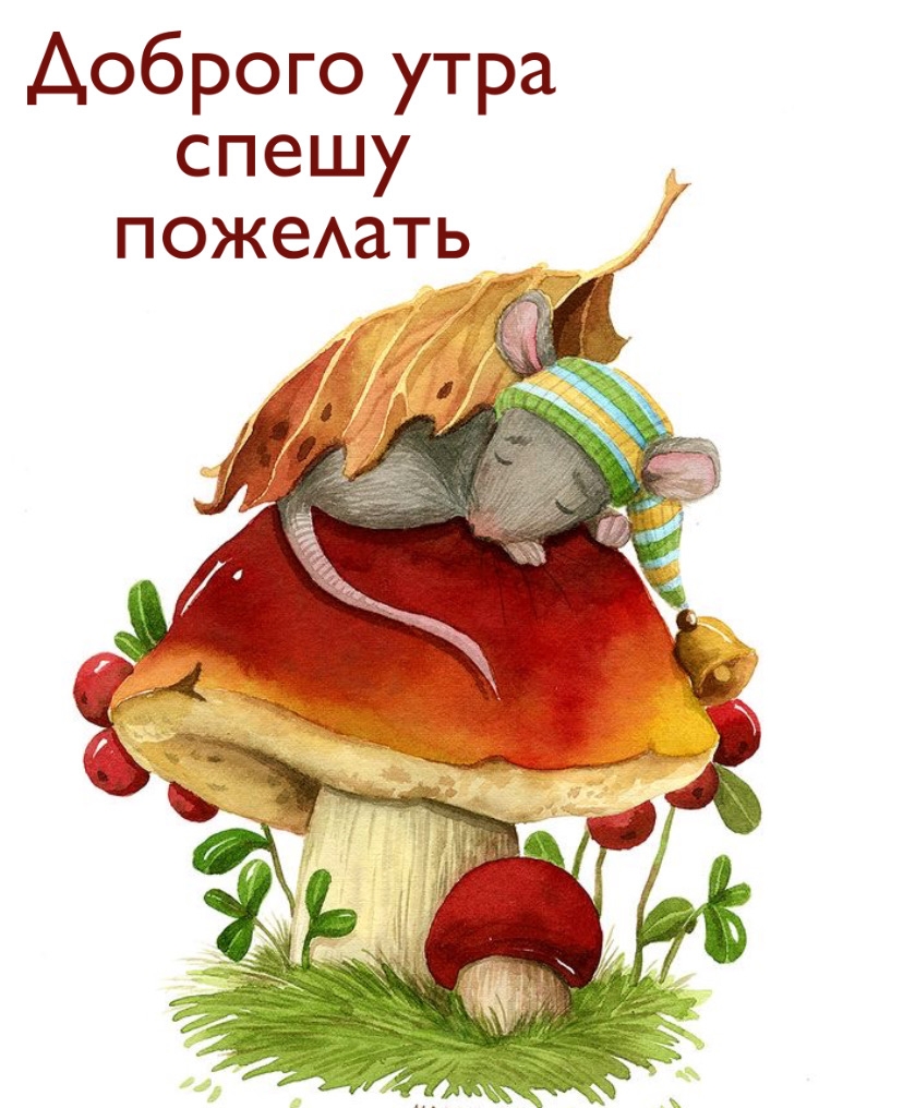 Хостинг картинок yapx.ru