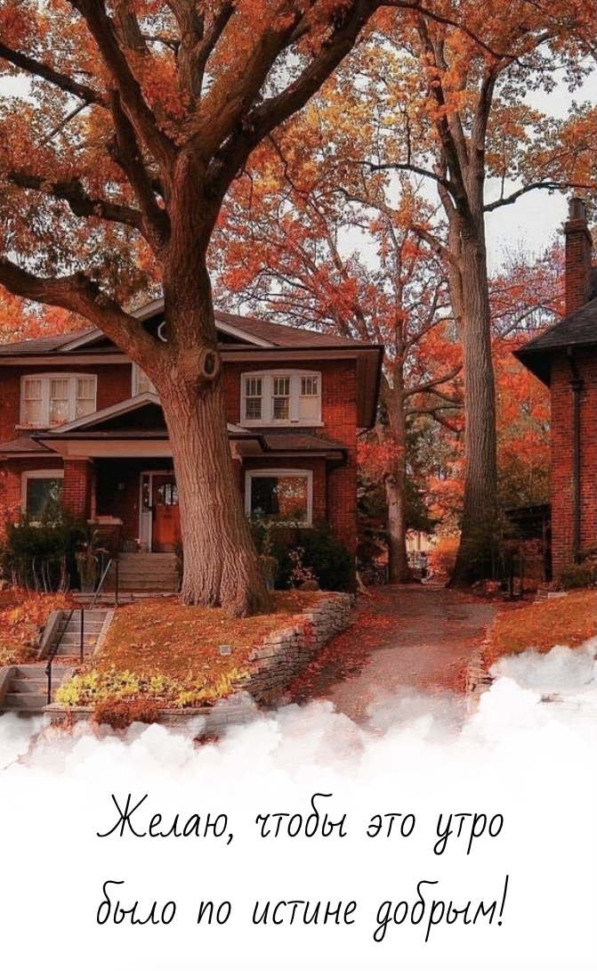 Хостинг картинок yapx.ru