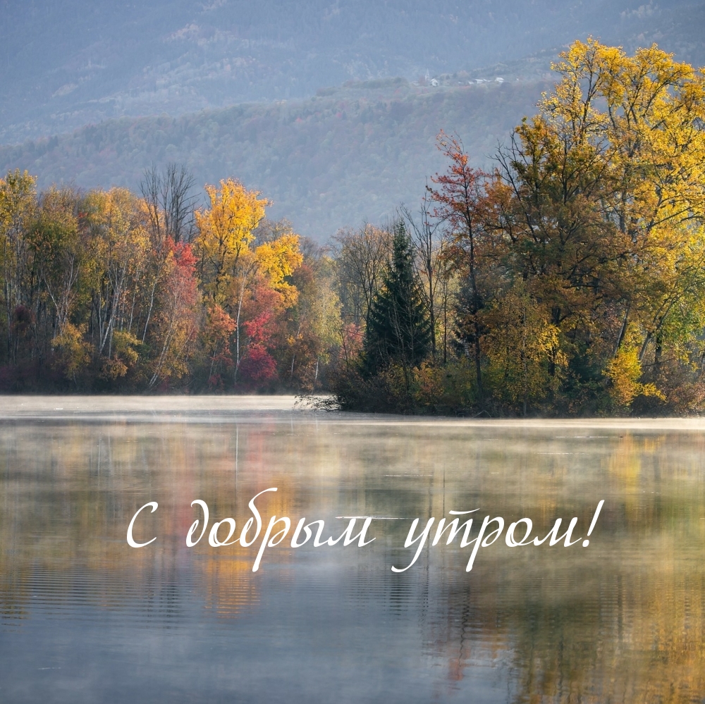 Хостинг картинок yapx.ru