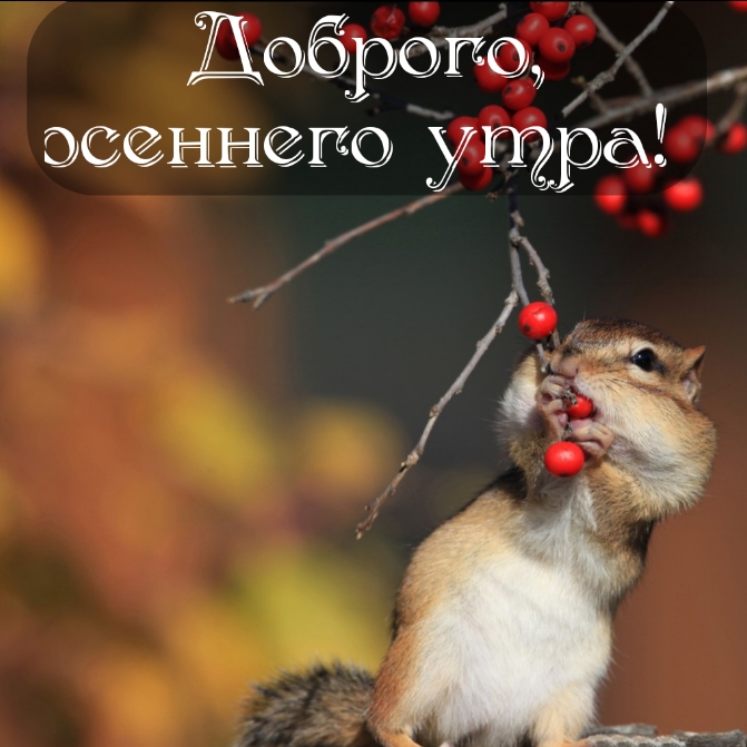 Хостинг картинок yapx.ru