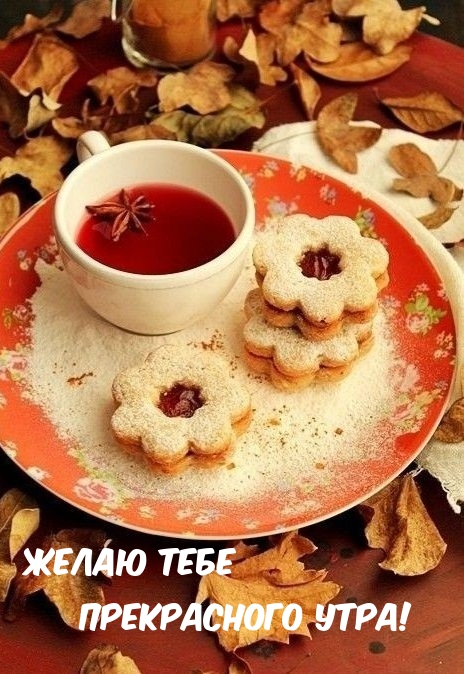 Хостинг картинок yapx.ru