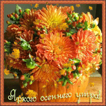 Хостинг картинок yapx.ru