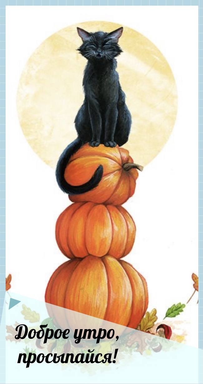 Хостинг картинок yapx.ru