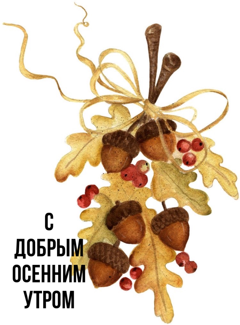 Хостинг картинок yapx.ru