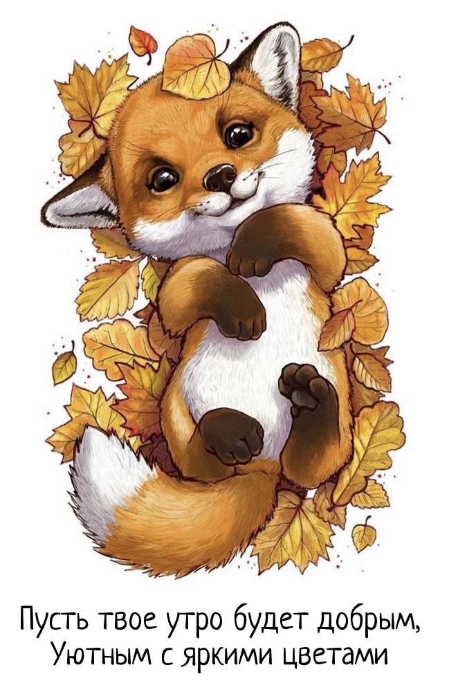 Хостинг картинок yapx.ru