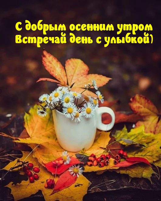 Хостинг картинок yapx.ru