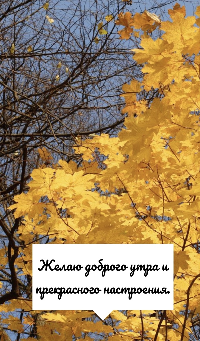 Хостинг картинок yapx.ru