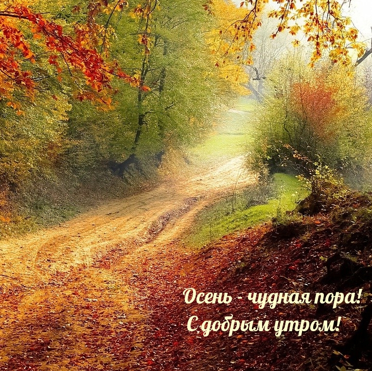 Хостинг картинок yapx.ru