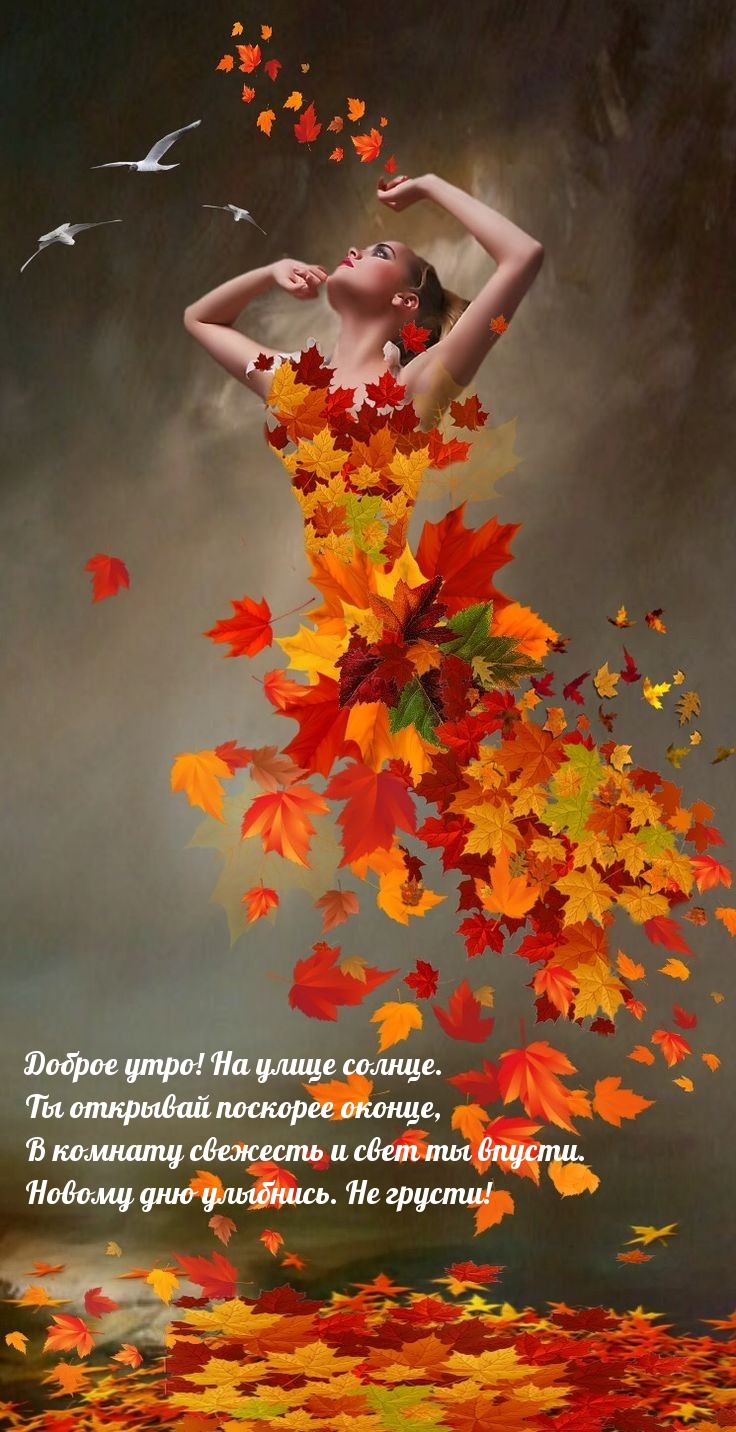 Хостинг картинок yapx.ru