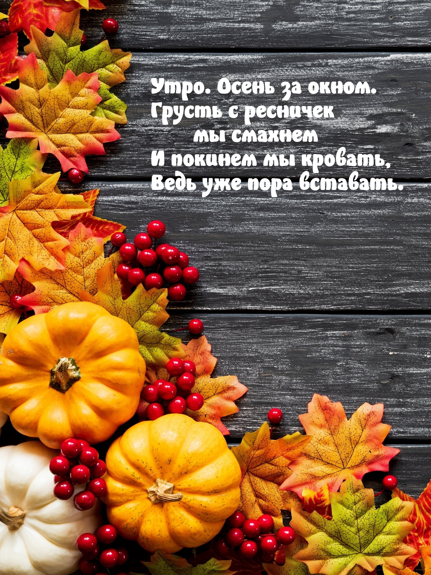 Хостинг картинок yapx.ru