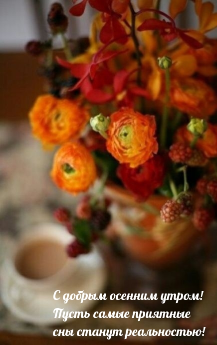 Хостинг картинок yapx.ru