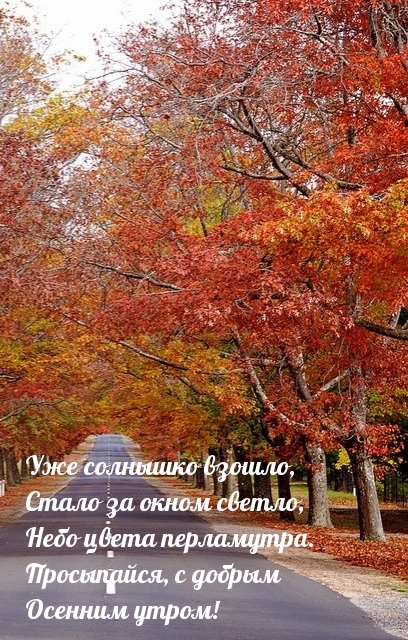 Хостинг картинок yapx.ru