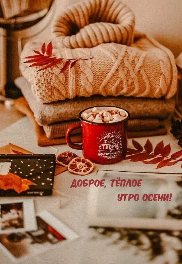 Хостинг картинок yapx.ru