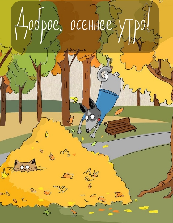 Хостинг картинок yapx.ru